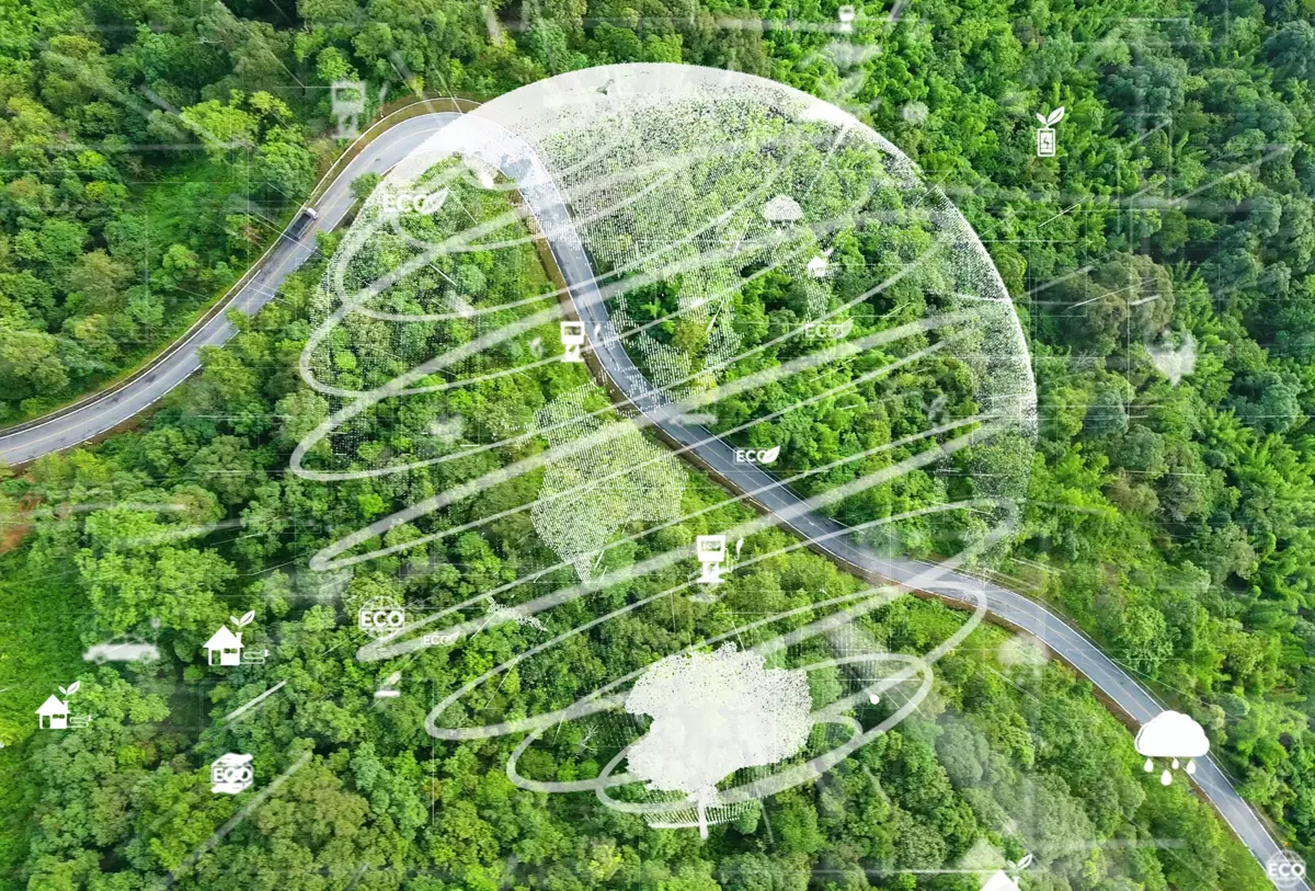 Strada immersa nel verde della natura